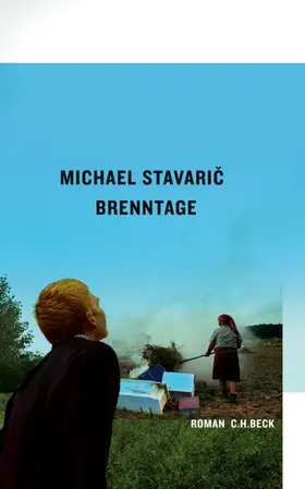 Stavaric |  Brenntage | eBook | Sack Fachmedien