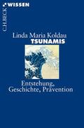 Koldau |  Koldau, L: Tsunamis | Buch |  Sack Fachmedien