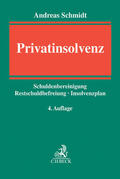 Schmidt |  Privatinsolvenz | Buch |  Sack Fachmedien