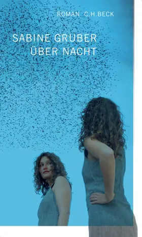 Gruber |  Über Nacht | eBook | Sack Fachmedien