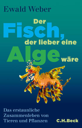 Weber | Der Fisch, der lieber eine Alge wäre | Buch | 978-3-406-66026-9 | sack.de