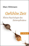 Wittmann |  Gefühlte Zeit | Buch |  Sack Fachmedien