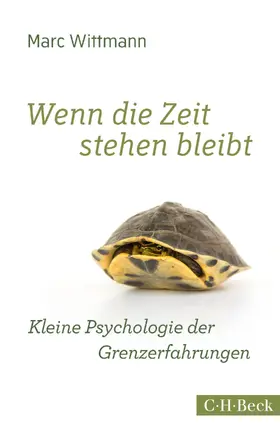 Wittmann |  Wenn die Zeit stehen bleibt | eBook | Sack Fachmedien