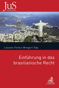 Feiten Wingert Ody |  Einführung in das brasilianische Recht | Buch |  Sack Fachmedien