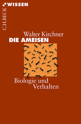 Kirchner | Die Ameisen | E-Book | sack.de