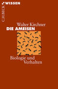 Kirchner |  Die Ameisen | eBook | Sack Fachmedien