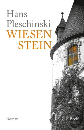Pleschinski |  Wiesenstein | Buch |  Sack Fachmedien