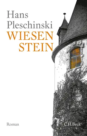 Pleschinski |  Wiesenstein | eBook | Sack Fachmedien