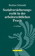 Schmidt |  Schmidt, B: Sozialversicherungsrecht/arbeitsrecht. Praxis | Buch |  Sack Fachmedien