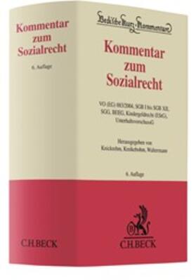 Knickrehm / Kreikebohm / Waltermann | Kommentar zum Sozialrecht | Buch | 978-3-406-73022-1 | sack.de