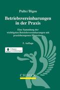 Pulte / Bigos |  Betriebsvereinbarungen in der Praxis | Buch |  Sack Fachmedien