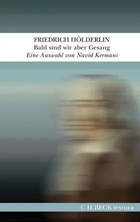 Hölderlin |  Bald sind wir aber Gesang | eBook | Sack Fachmedien