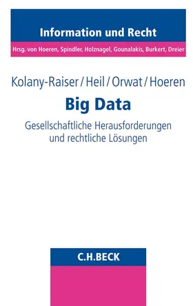 Kolany-Raiser / Heil / Orwat |  Big Data | Buch |  Sack Fachmedien