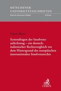 Bitzer |  Systemfragen der Insolvenzanfechtung - ein deutsch-italienischer Rechtsvergleich vor dem Hintergrund des europäischen internationalen Insolvenzrechts | Buch |  Sack Fachmedien