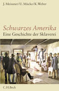 Meissner / Mücke / Weber |  Schwarzes Amerika | Buch |  Sack Fachmedien