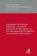 Bitzer |  Systemfragen der Insolvenzanfechtung - ein deutsch-italienischer Rechtsvergleich vor dem Hintergrund des europäischen internationalen Insolvenzrechts | eBook | Sack Fachmedien