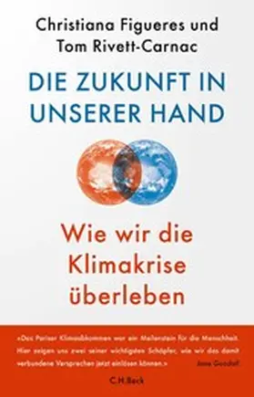 Figueres / Rivett-Carnac |  Die Zukunft in unserer Hand | eBook | Sack Fachmedien