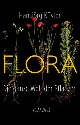 Küster | Flora | Buch | 978-3-406-78323-4 | sack.de
