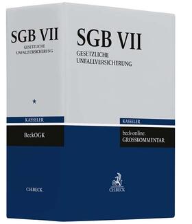 beck-online.GROSSKOMMENTAR zum SGB (Kasseler Kommentar)  Ordner SGB VII 86 mm | Loseblattwerk | sack.de