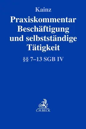 Kainz |  Praxiskommentar Beschäftigung und selbstständige Tätigkeit | Buch |  Sack Fachmedien