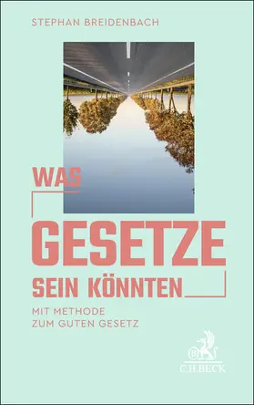 Breidenbach |  Was Gesetze sein könnten | Buch |  Sack Fachmedien