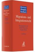 Dörig / Hocks |  Münchener Anwaltshandbuch Migrations- und Integrationsrecht | Buch |  Sack Fachmedien
