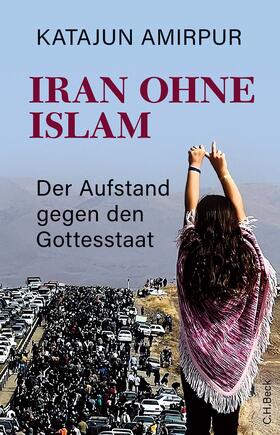 Amirpur |  Iran ohne Islam | Buch |  Sack Fachmedien