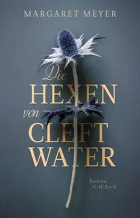Meyer |  Die Hexen von Cleftwater | Buch |  Sack Fachmedien
