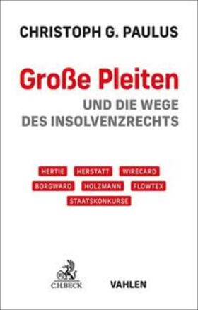 Paulus | Große Pleiten | E-Book | sack.de