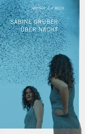 Gruber |  Über Nacht | Buch |  Sack Fachmedien