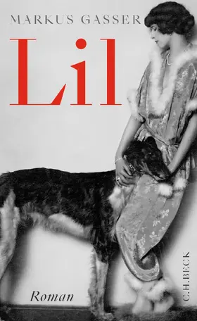 Gasser |  Lil | Buch |  Sack Fachmedien