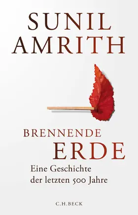 Amrith |  Brennende Erde | Buch |  Sack Fachmedien