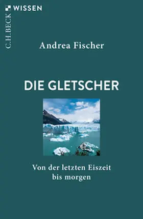 Fischer |  Die Gletscher | Buch |  Sack Fachmedien