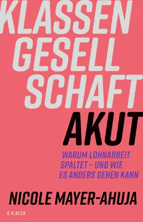 Mayer-Ahuja |  Klassengesellschaft akut | Buch |  Sack Fachmedien