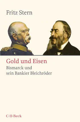 Stern |  Gold und Eisen | Buch |  Sack Fachmedien