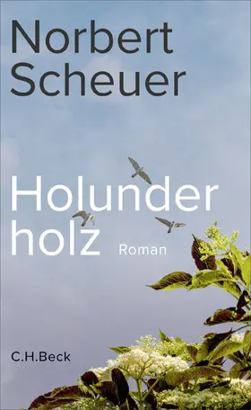Scheuer |  Holunderholz | Buch |  Sack Fachmedien