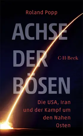 Popp |  Achse der Bösen | Buch |  Sack Fachmedien
