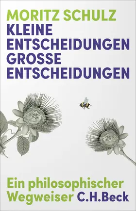 Schulz |  Kleine Entscheidungen, große Entscheidungen | Buch |  Sack Fachmedien
