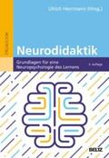 Herrmann |  Neurodidaktik | eBook | Sack Fachmedien