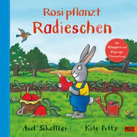 Scheffler / Petty |  Rosi pflanzt Radieschen | Buch |  Sack Fachmedien