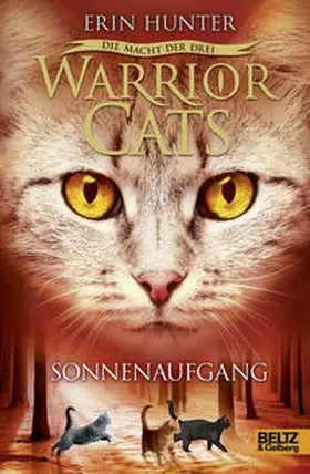 Hunter |  Warrior Cats Staffel 3/06. Die Macht der drei. Sonnenaufgang | Buch |  Sack Fachmedien