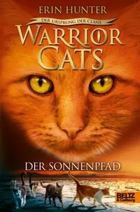 Hunter | Warrior Cats Staffel 5/01. Der Ursprung der Clans. Der Sonnenpfad | Buch | 978-3-407-81201-8 | www.sack.de