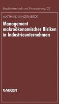 Klingenbeck |  Klingenbeck, M: Management makroökonomischer Risiken in Indu | Buch |  Sack Fachmedien
