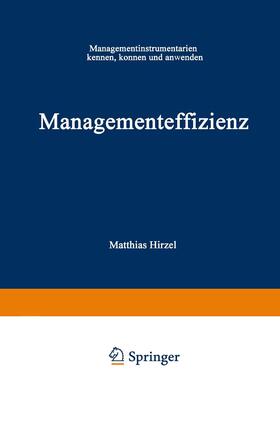 Hirzel |  Managementeffizienz | Buch |  Sack Fachmedien