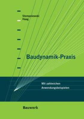 Stempniewski / Haag | Baudynamik-Praxis | Buch | 978-3-410-21578-3 | sack.de