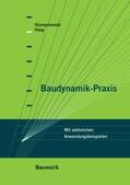 Stempniewski / Haag |  Baudynamik-Praxis | Buch |  Sack Fachmedien