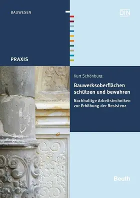 Schönburg / DIN e.V. |  Bauwerksoberflächen schützen und bewahren | eBook | Sack Fachmedien