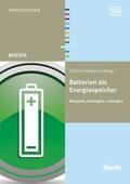 Fahlbusch |  Batterien als Energiespeicher | Buch |  Sack Fachmedien
