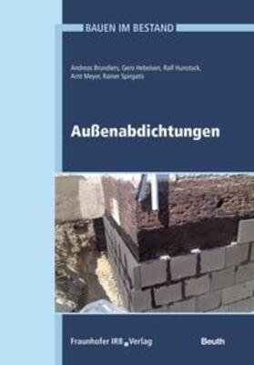 Brundiers / Hebeisen / Hunstock | Bauen im Bestand | Buch | 978-3-410-24897-2 | sack.de