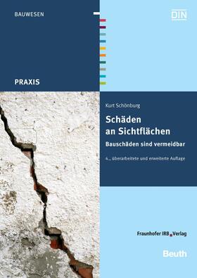 Schönburg / DIN e.V. | Schäden an Sichtflächen | E-Book | sack.de